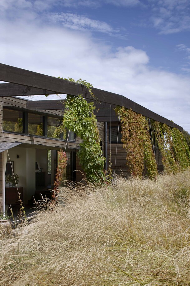 Interior photograph of Musk Creek House by Shannon McGrath
